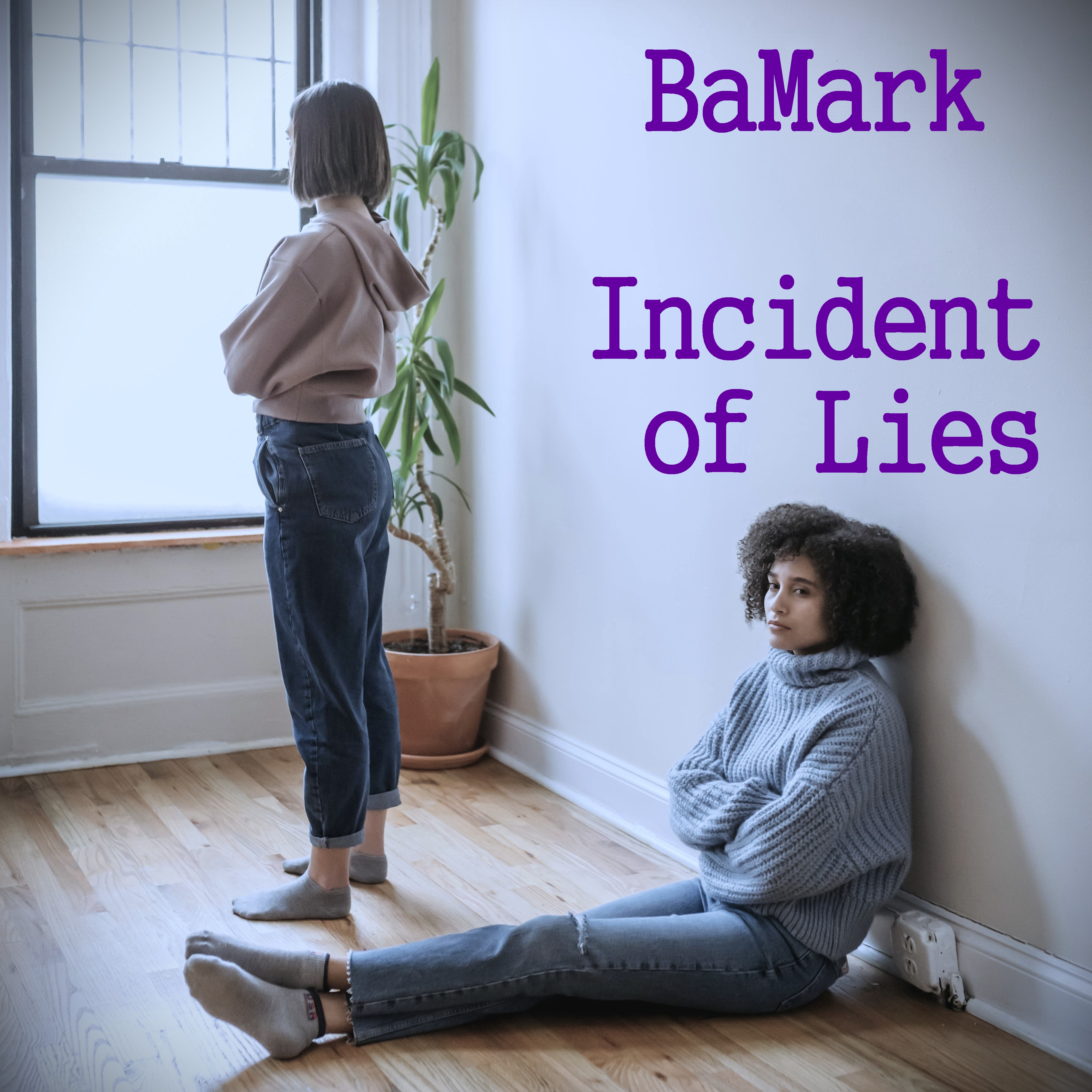 Incident of Lies - remix